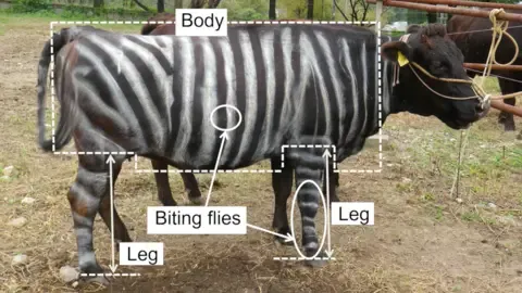 Striped Cattle and Slippery Edibles Secure Tongue-in-Cheek Academic Prizes